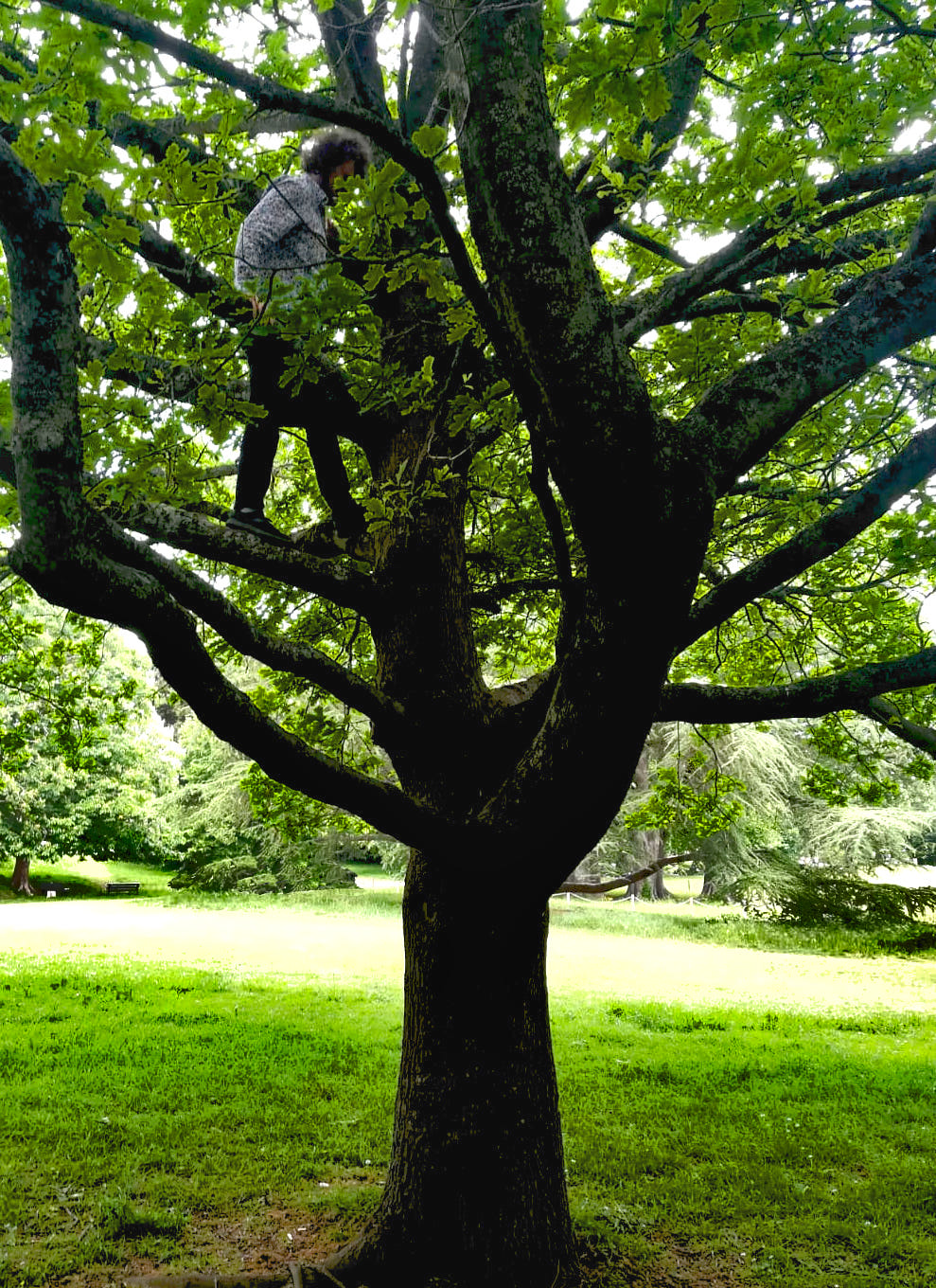 Me walking on a branch of a tree in Bath